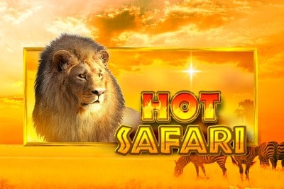 สล็อตHot Safari