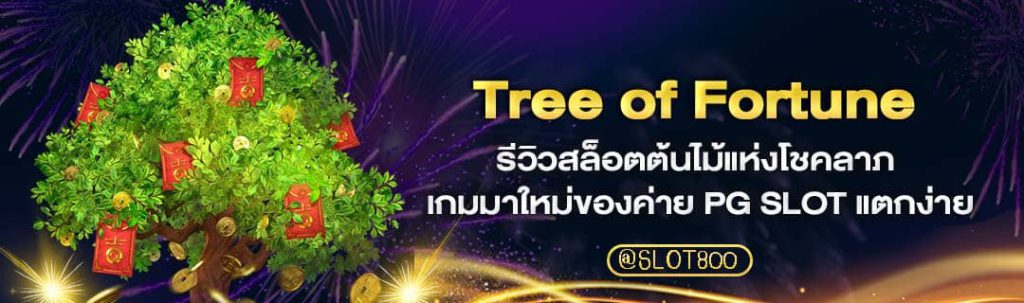 รีวิวสล็อตTree of Fortune